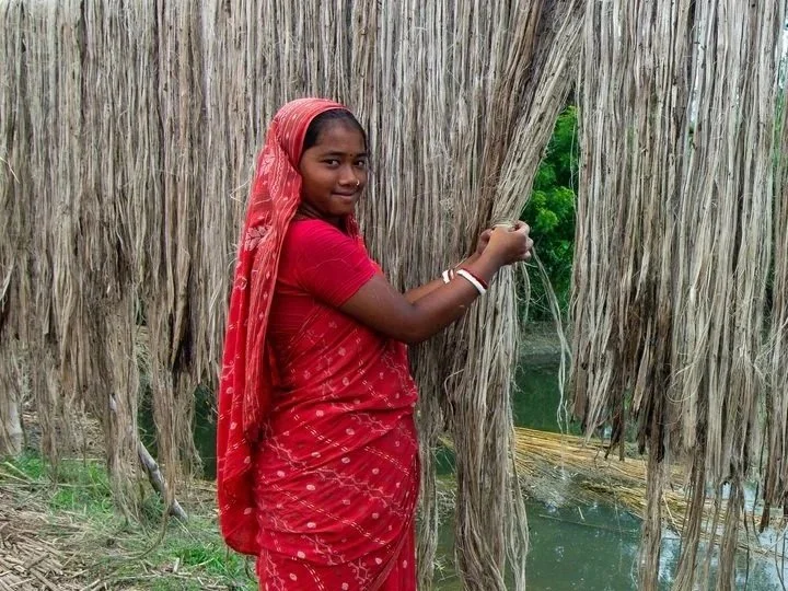 From Field to Floor: The Journey of Our Wool and Jute
