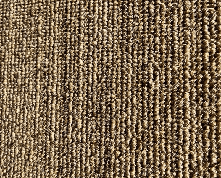 Close-up of a textured beige sisal carpet with small, tightly woven loops.