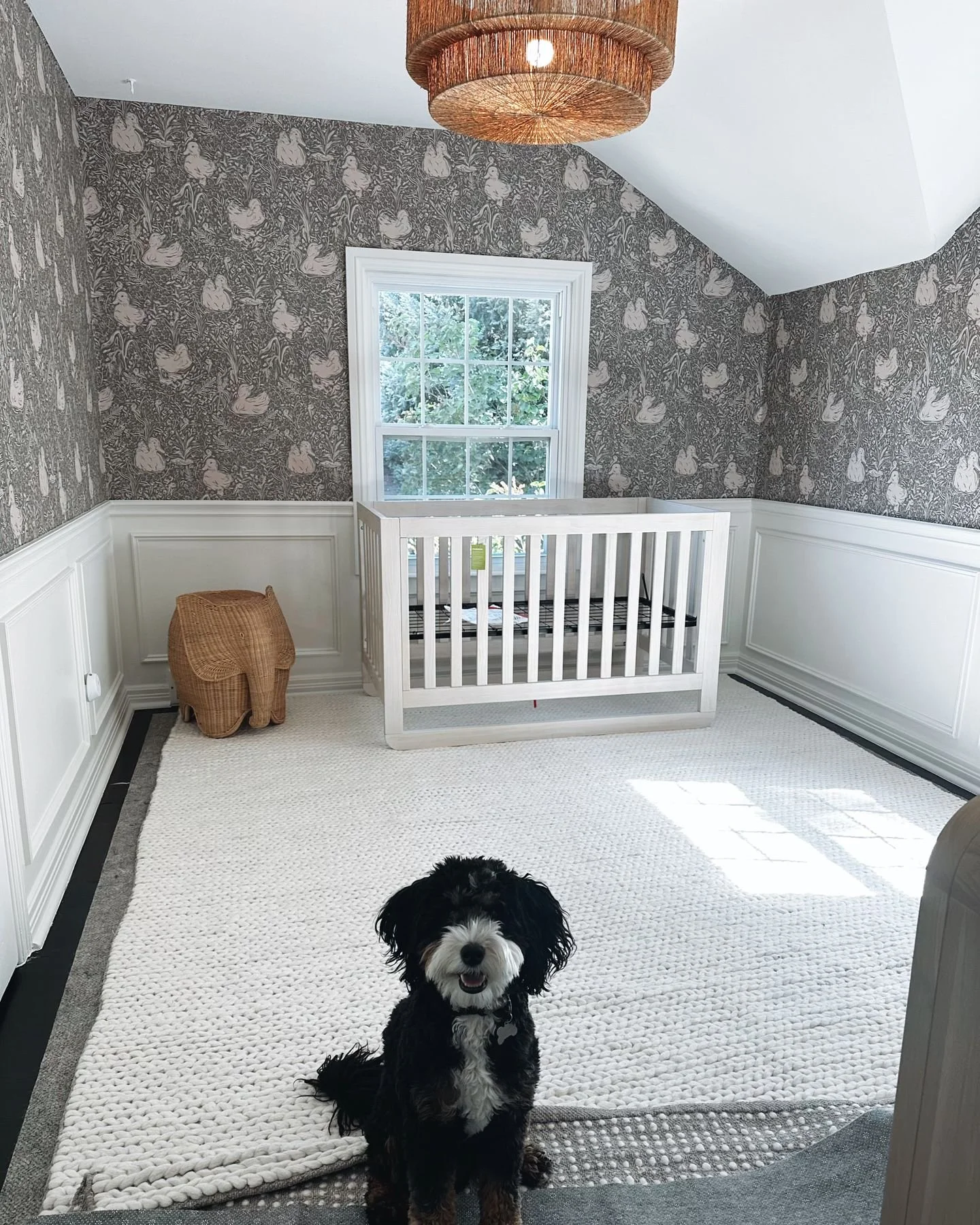 Denver nursery wrapping sooooon! Our furry client can&rsquo;t wait