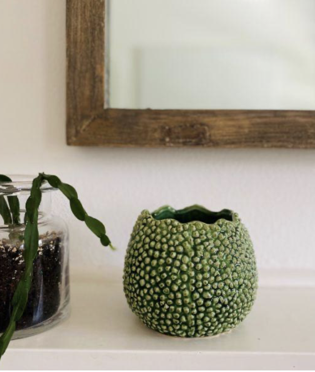 mode lychee vase 13cm - Google Search.png