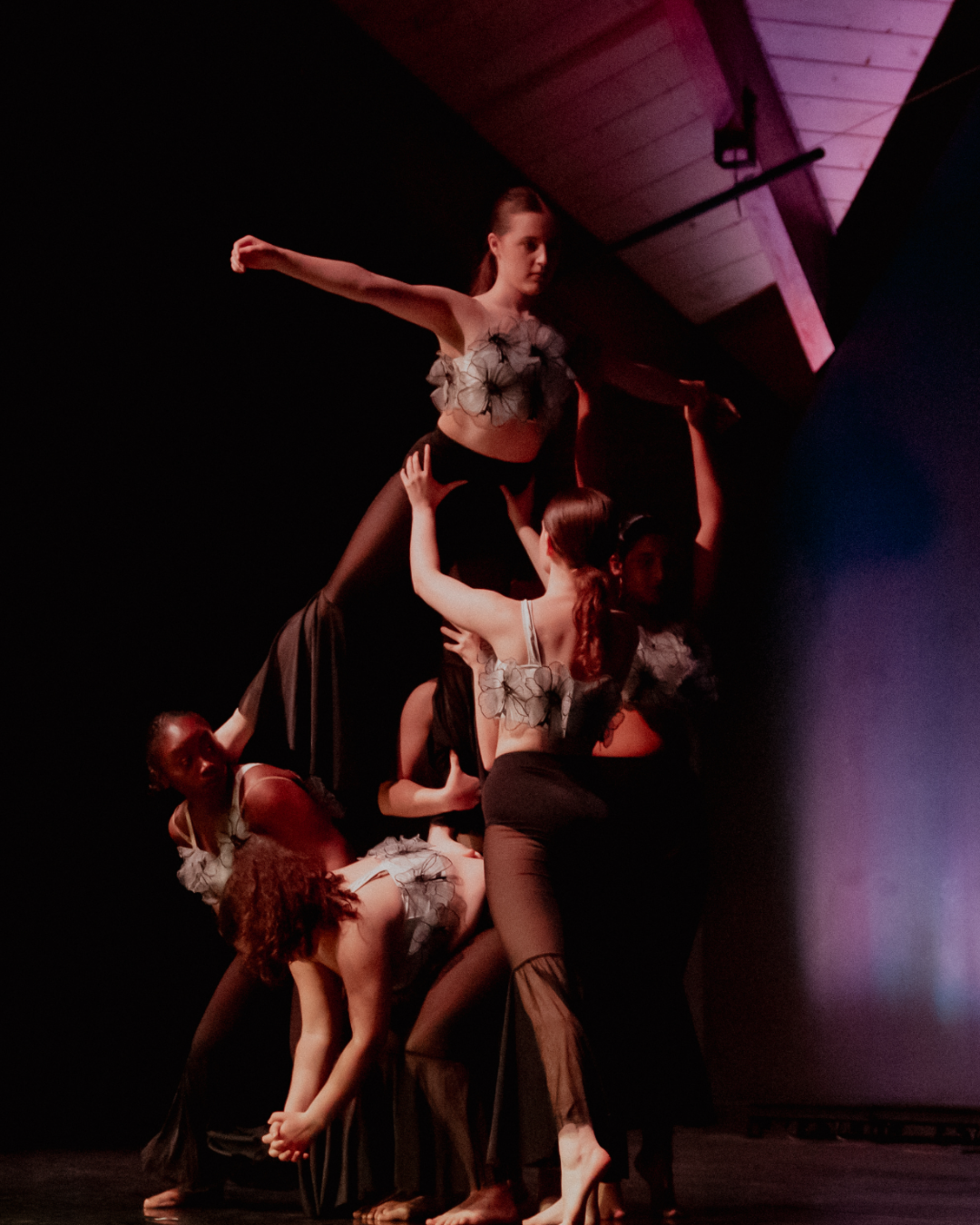AND MORE- See our current schedule for additional class options such as Stretch & Conditioning. 