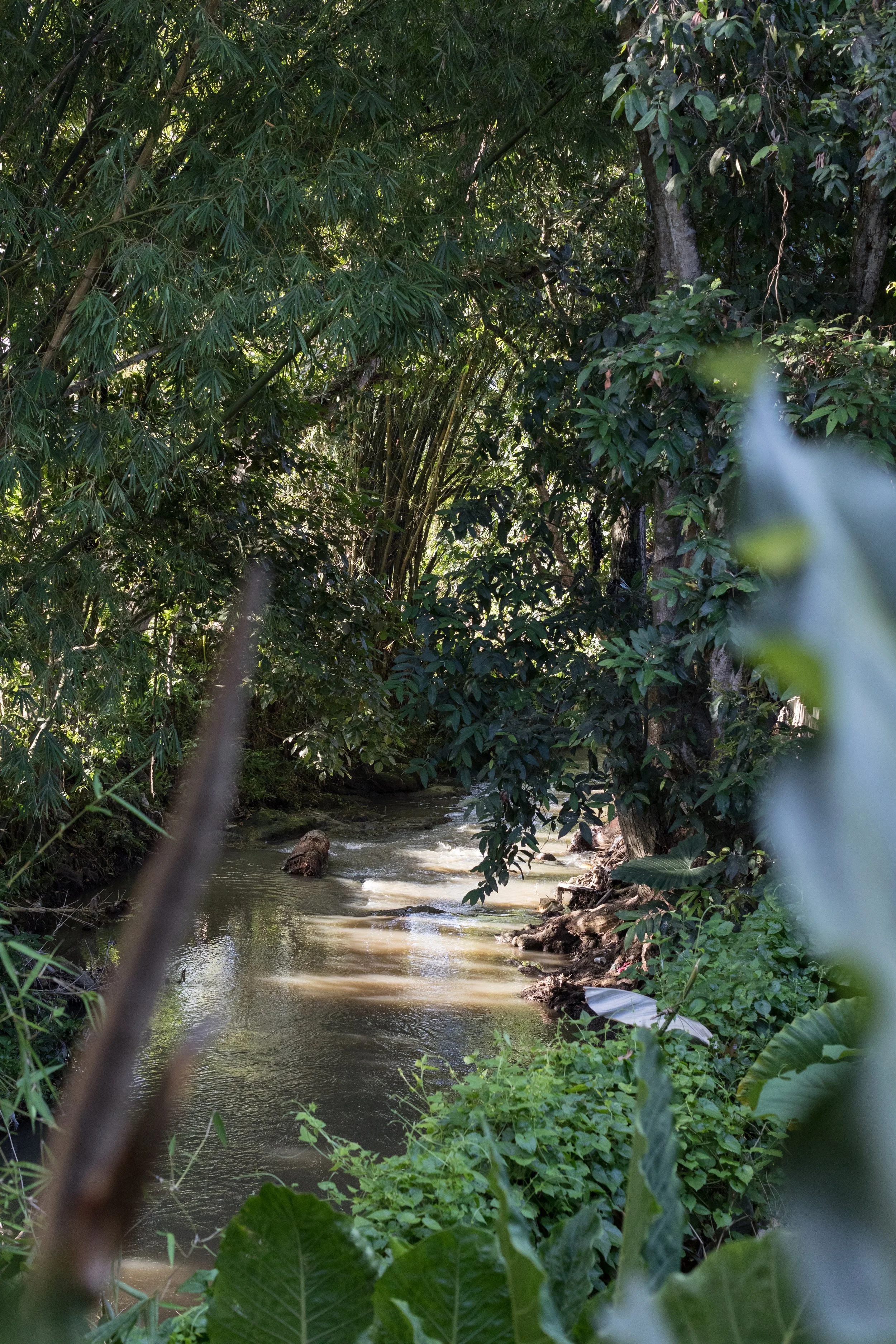 View from Master Bedroom