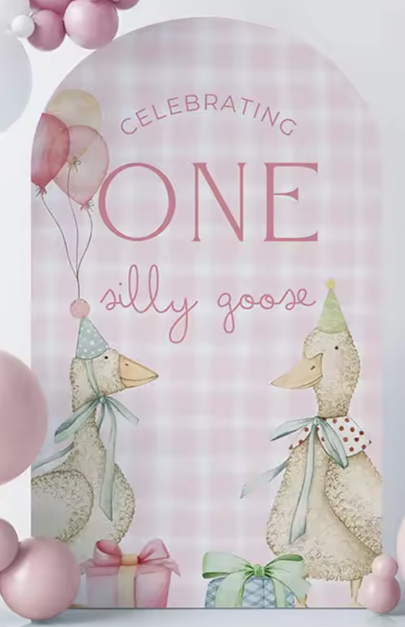ONE Silly Goose