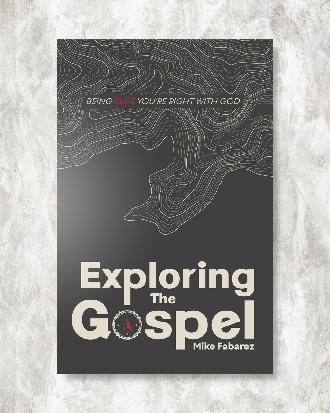 Exploring the Gospel website.png