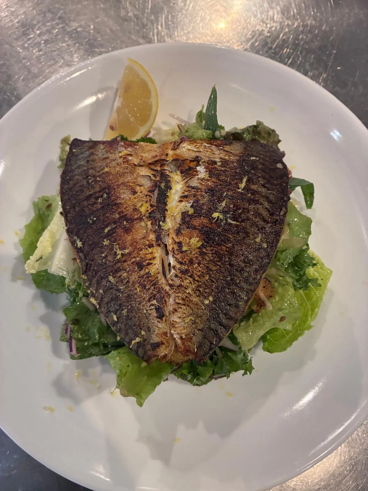 MACKEREL.jpeg