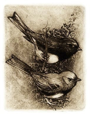 Juncos