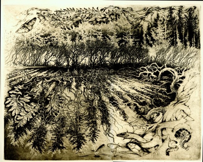 Fields Going Wild