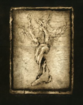 Witch Tree I