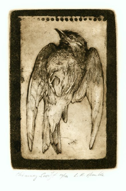 Chimney Swift