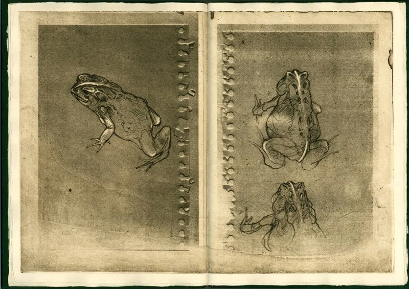 Pages 1 & 2