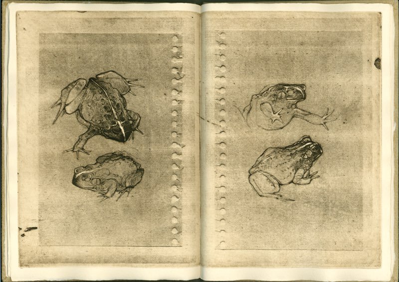 Pages 5 & 6