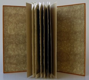 Unique design binding by Jan Sobota