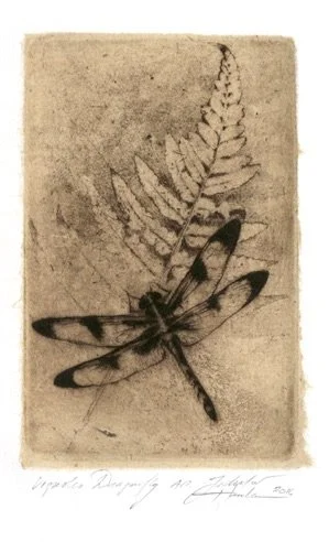 Dragonfly and Fall Fern Frond
