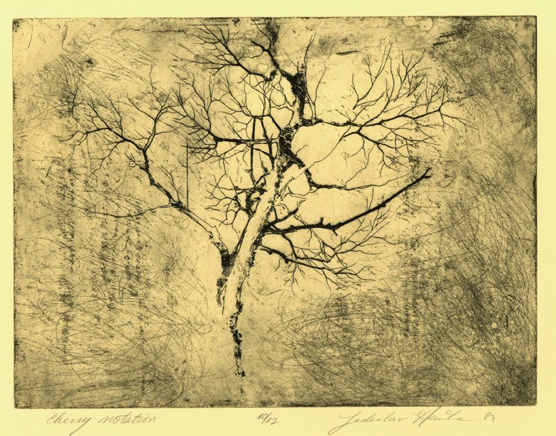 Cherry Notation