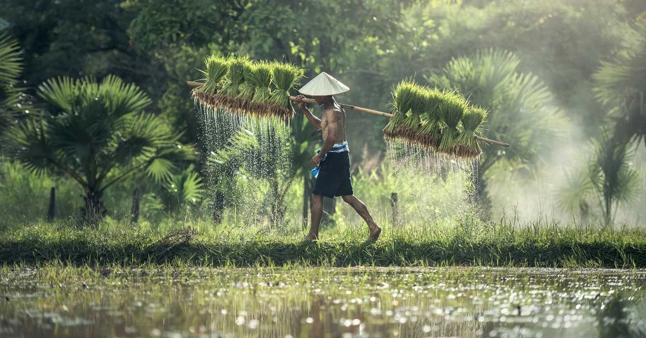 Water and Geopolitics (1)The "Silent Crisis" Facing the Mekong, the River of Life: 5 Shocking Truths We Must Know