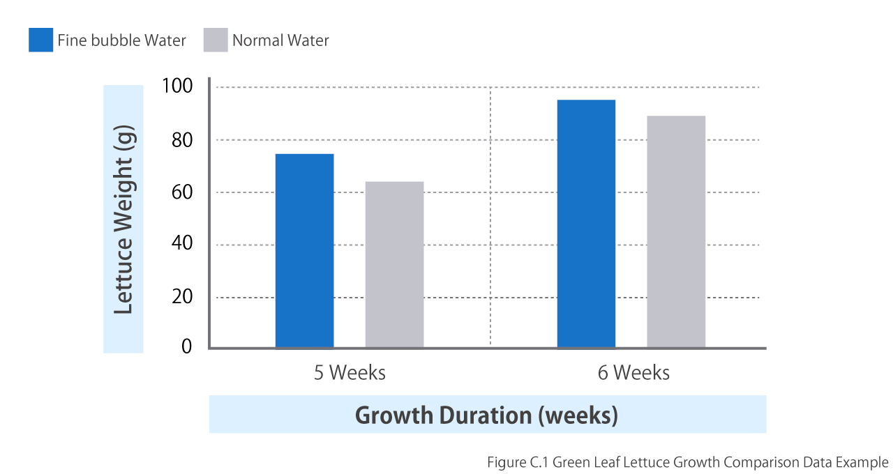 A data diagram comparing the growth of green leaf lettuce using nanobubble water