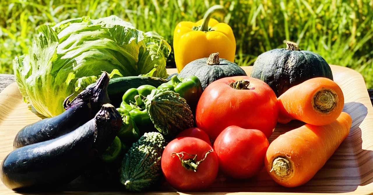 An image of vegetables grown with significantly reduced pesticides and fertilizers