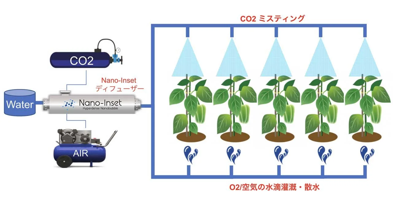 超高密度ナノバブル水を作物に利用するには作物の種類に応じて2通りあることの説明画像