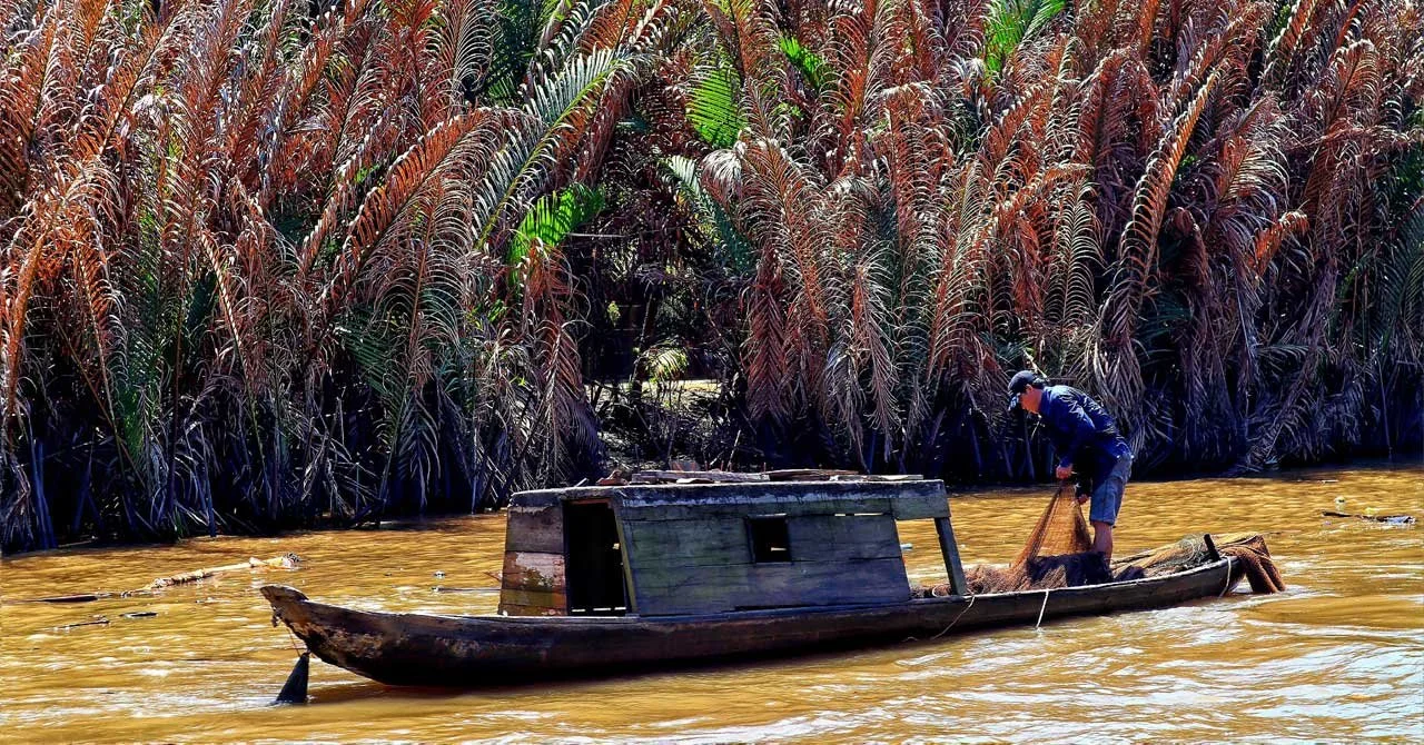 Mekong River fishing image