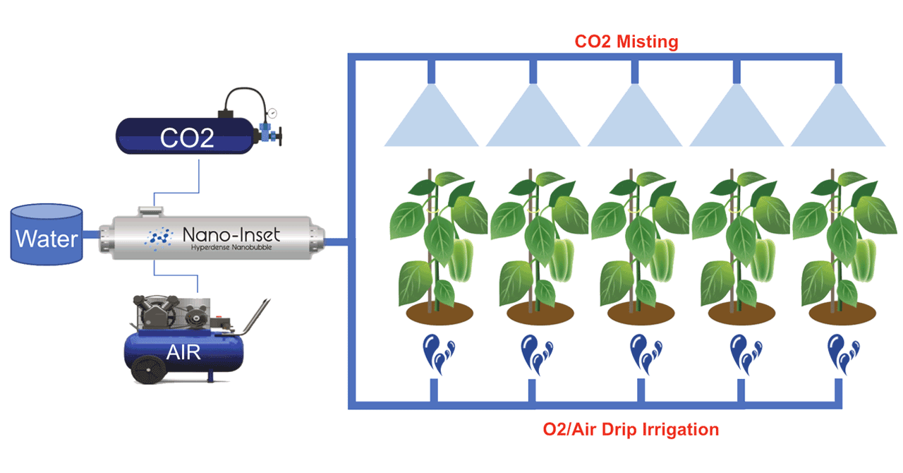 An explanatory diagram showing two ways to use ultra-high-density nanobubble water depending on the crop type