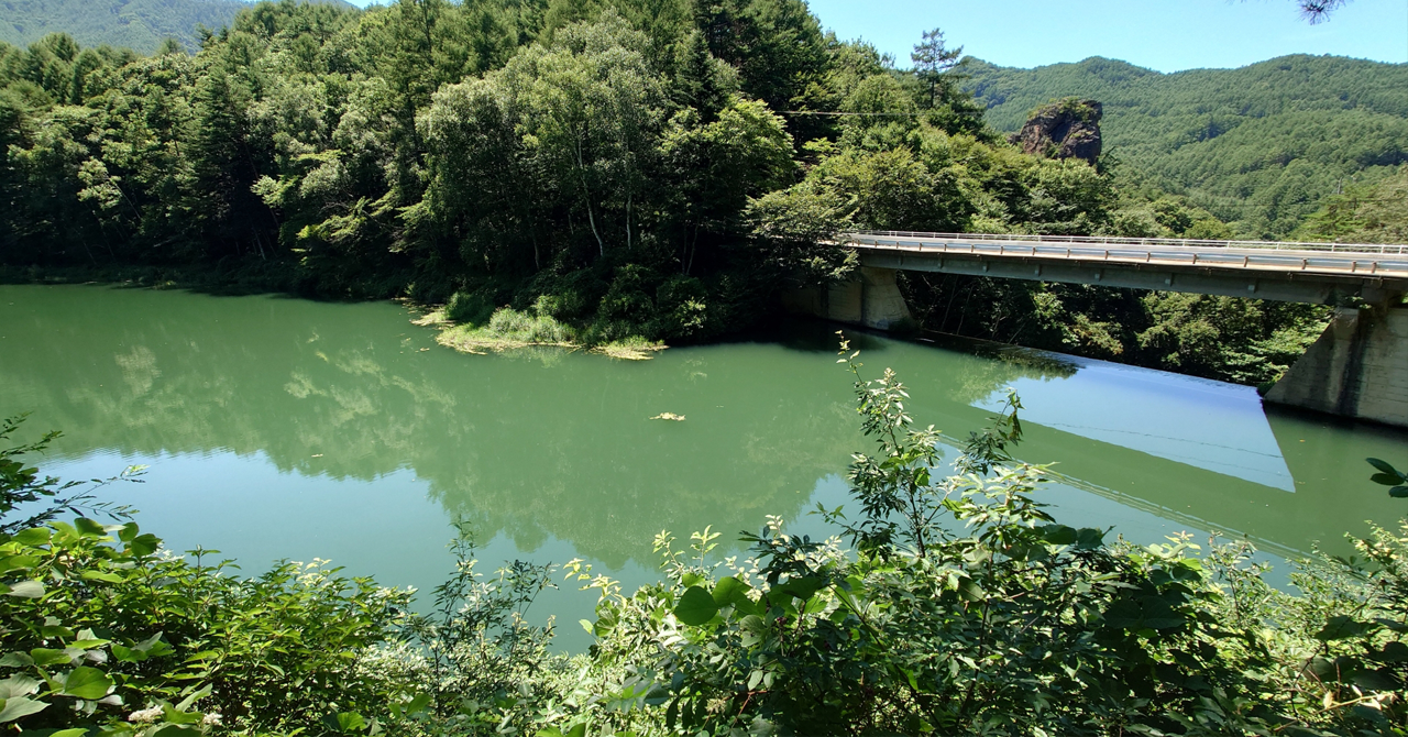 dam image