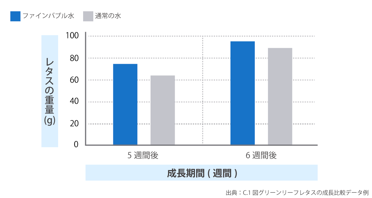 ナノバブル水を利用した場合のグリーンリーフレタスの成長比較データ図