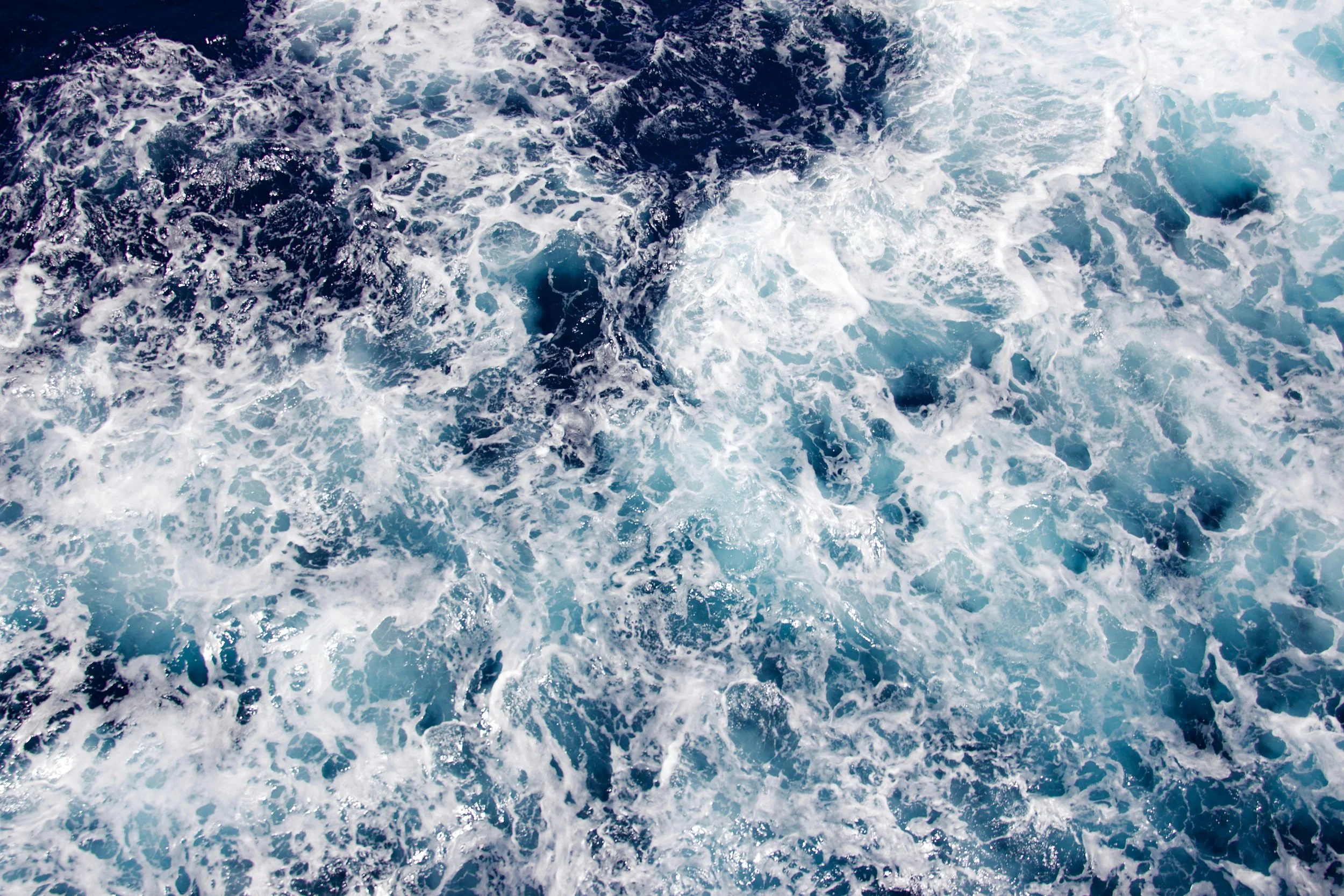 PAPER En las raíces, Joya. El agua como fuente de comunión