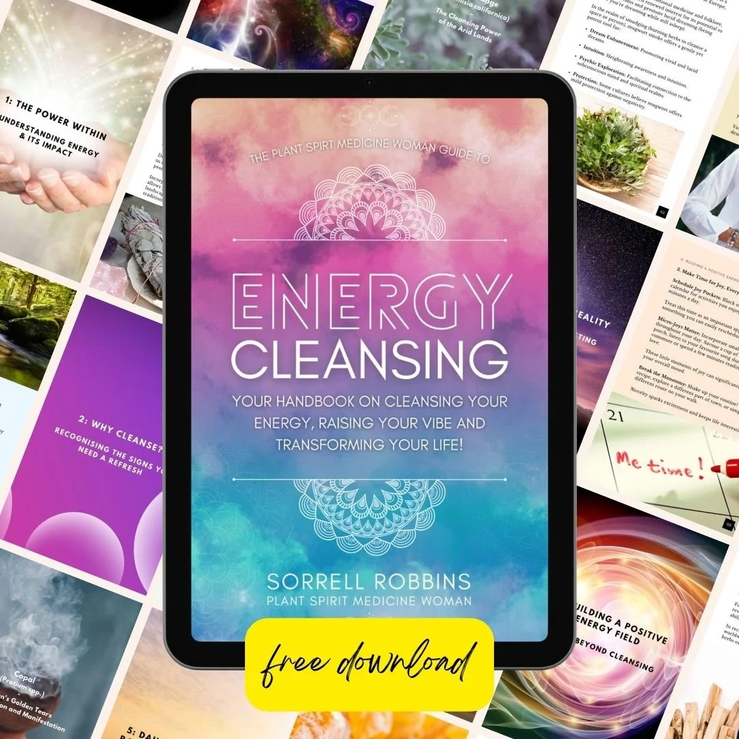Free Energy Cleansing Handbook by Sorrell Robbins