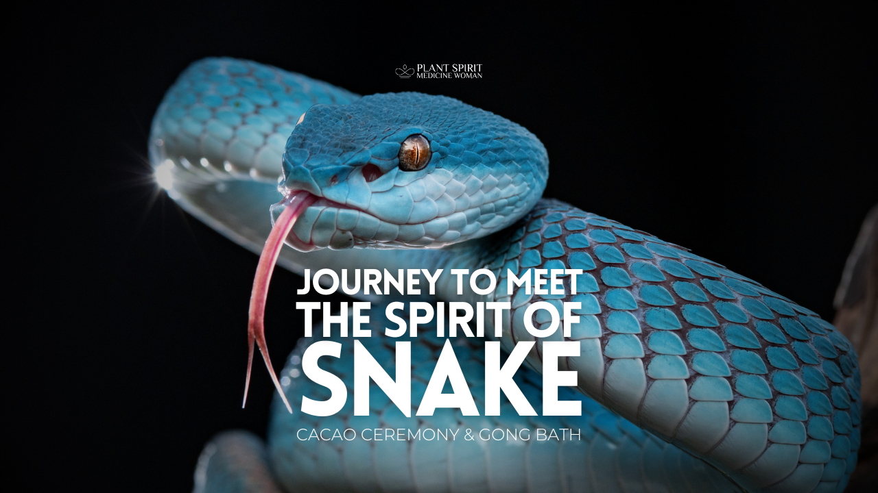 Meet the Spirit of Snake