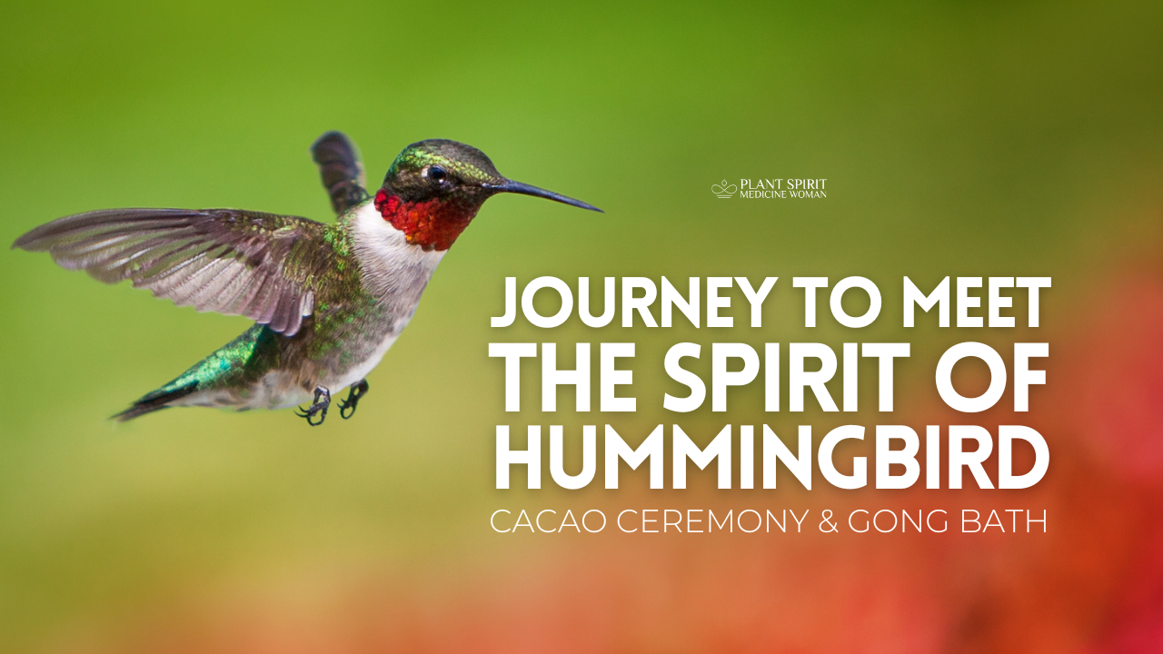 Meet the Spirit of Hummingbird