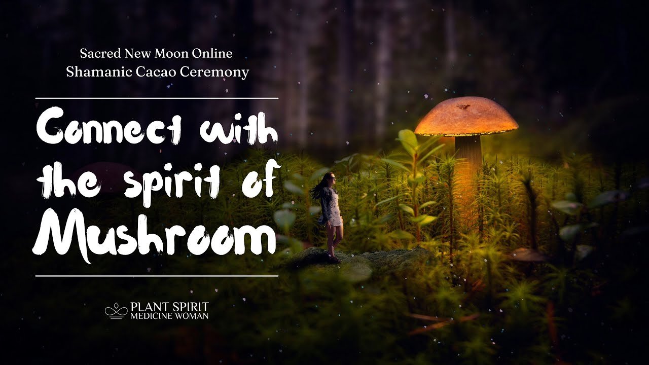 Interested In Connecting With The Spirit Of Mushroom?