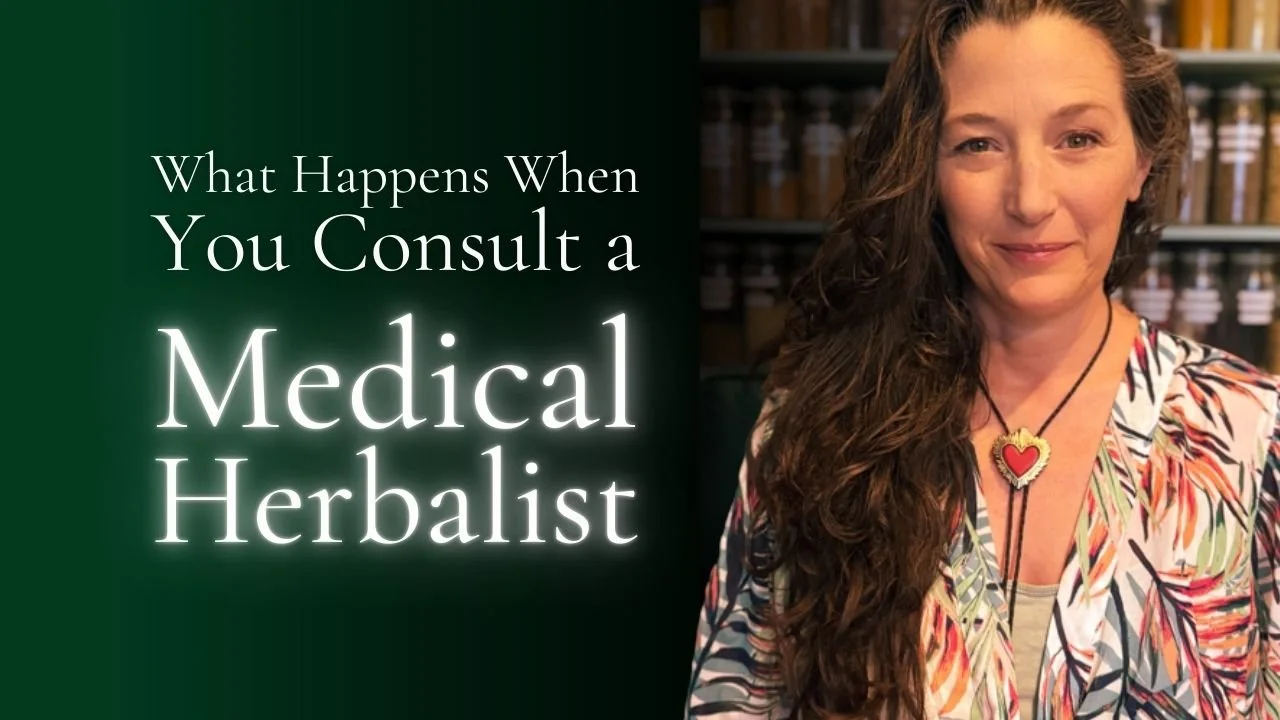 What Happens When You Consult a Medical Herbalist?