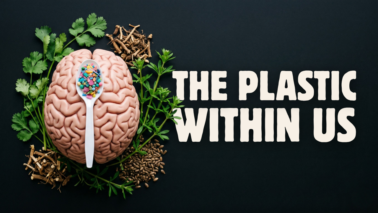The Plastic Within Us: Cutting Through the Hype to Truly Detox Your Body and Home
