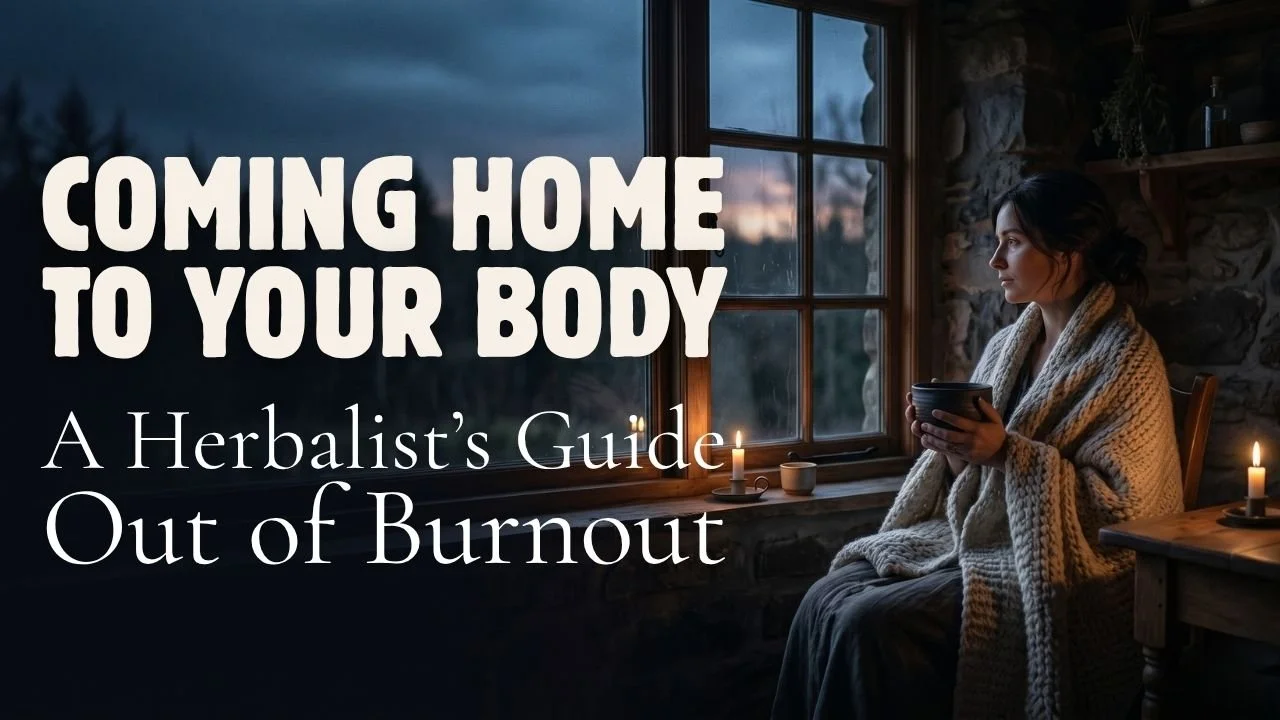Coming Home to the Body: A Herbalist’s Guide out of Burnout