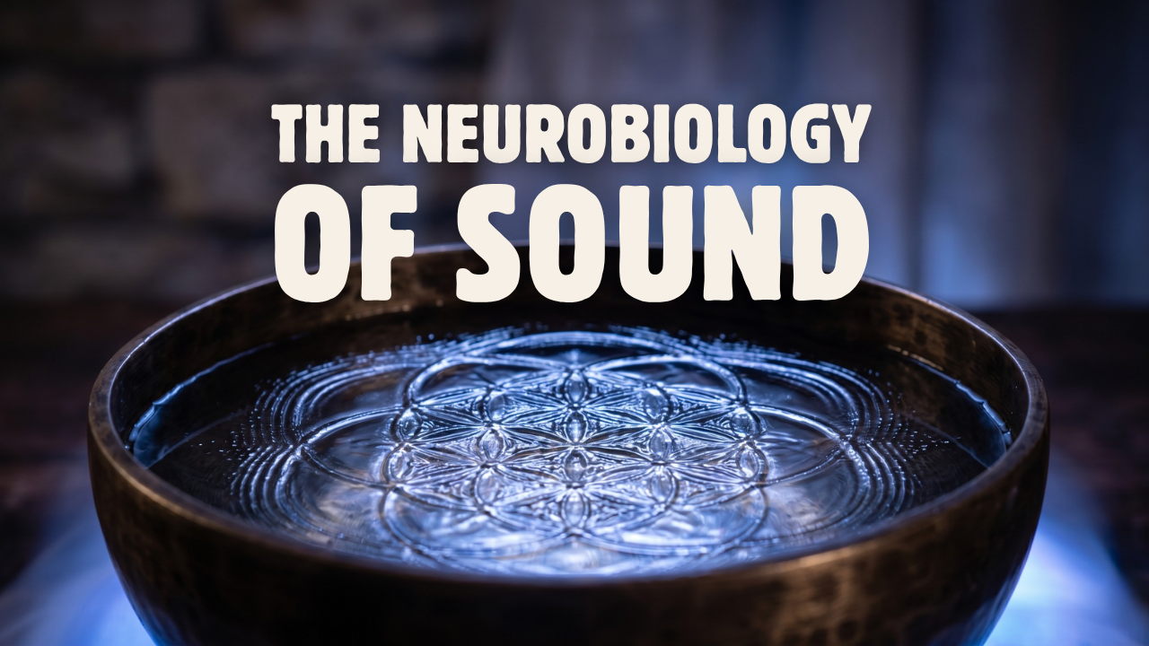 The Neurobiology of Sound: How Resonance and Ritual Calm Us in a Rushed World