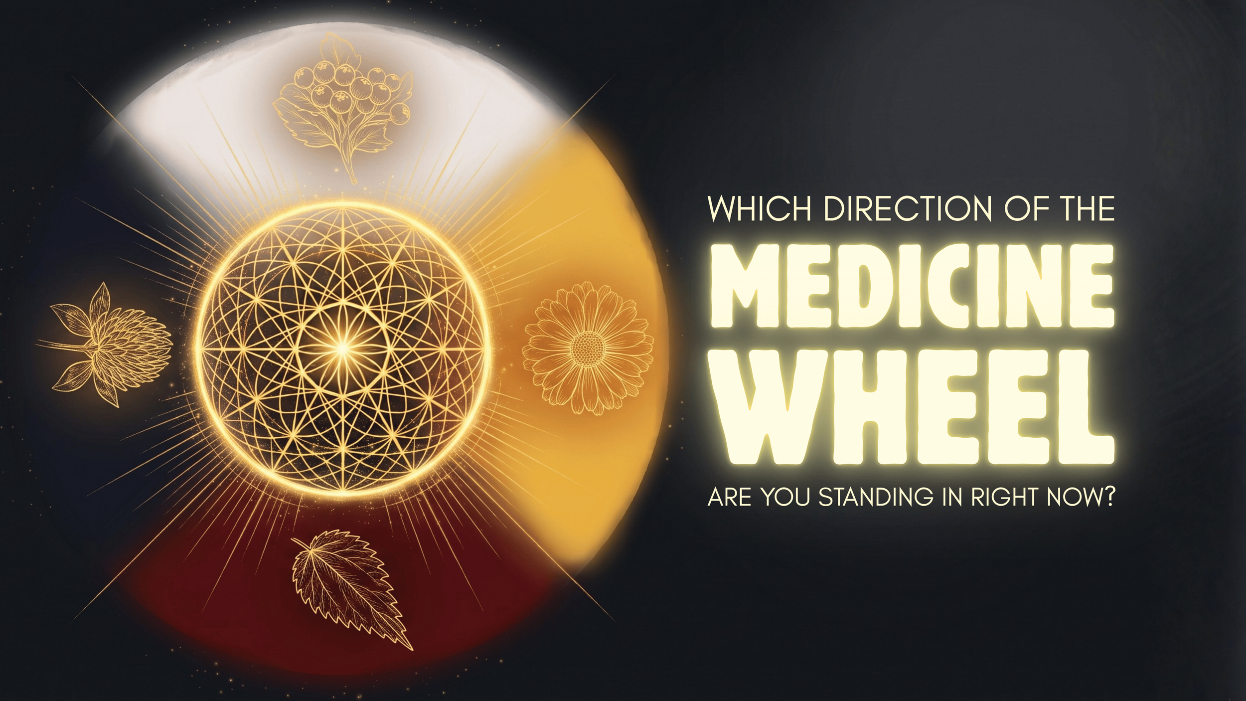 Which direction of the Medicine Wheel are you standing in right now?