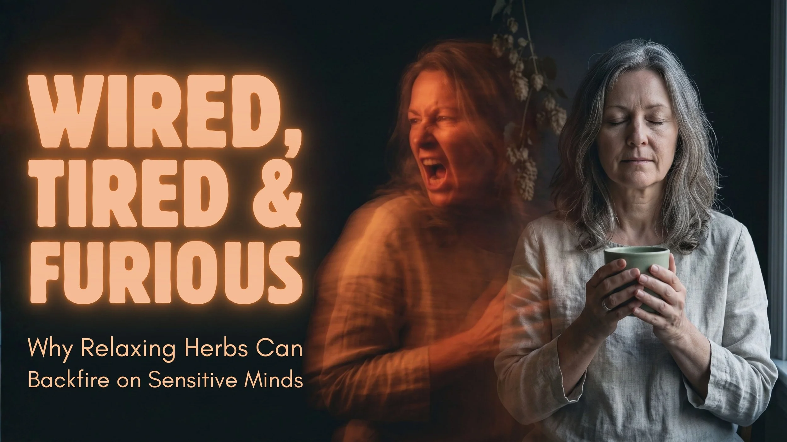 Wired, Tired, and Furious: Why Relaxing Herbs Backfire on Sensitive Minds