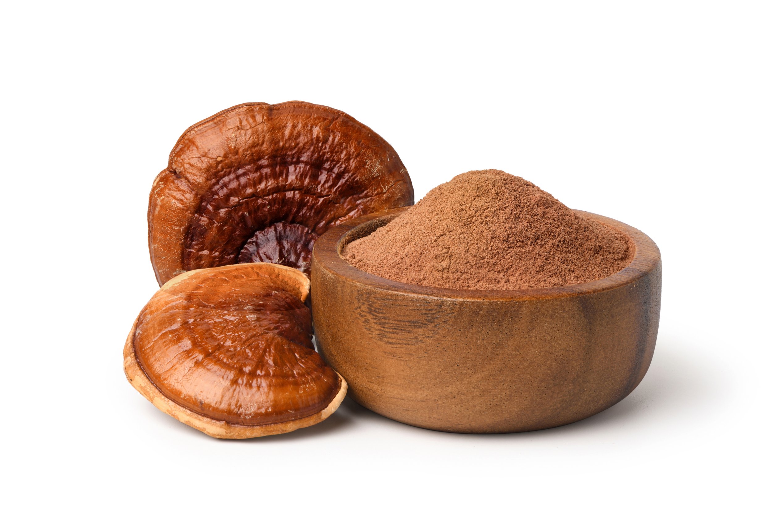 Reishi Mushroom Powder.jpeg