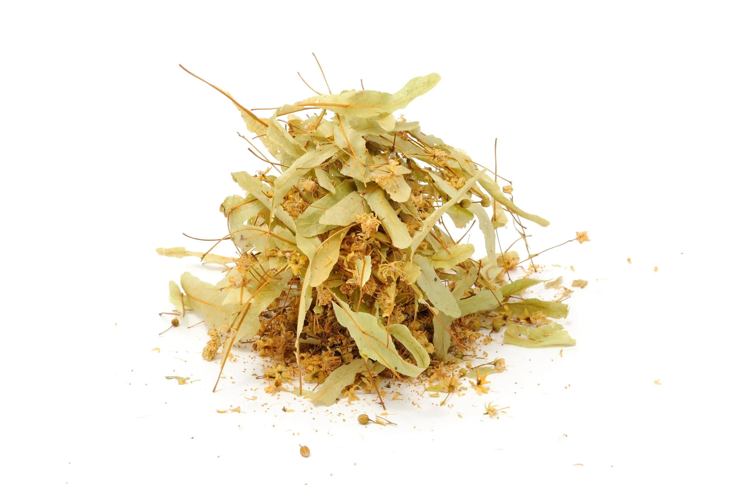 Dried Lime Flower.jpeg