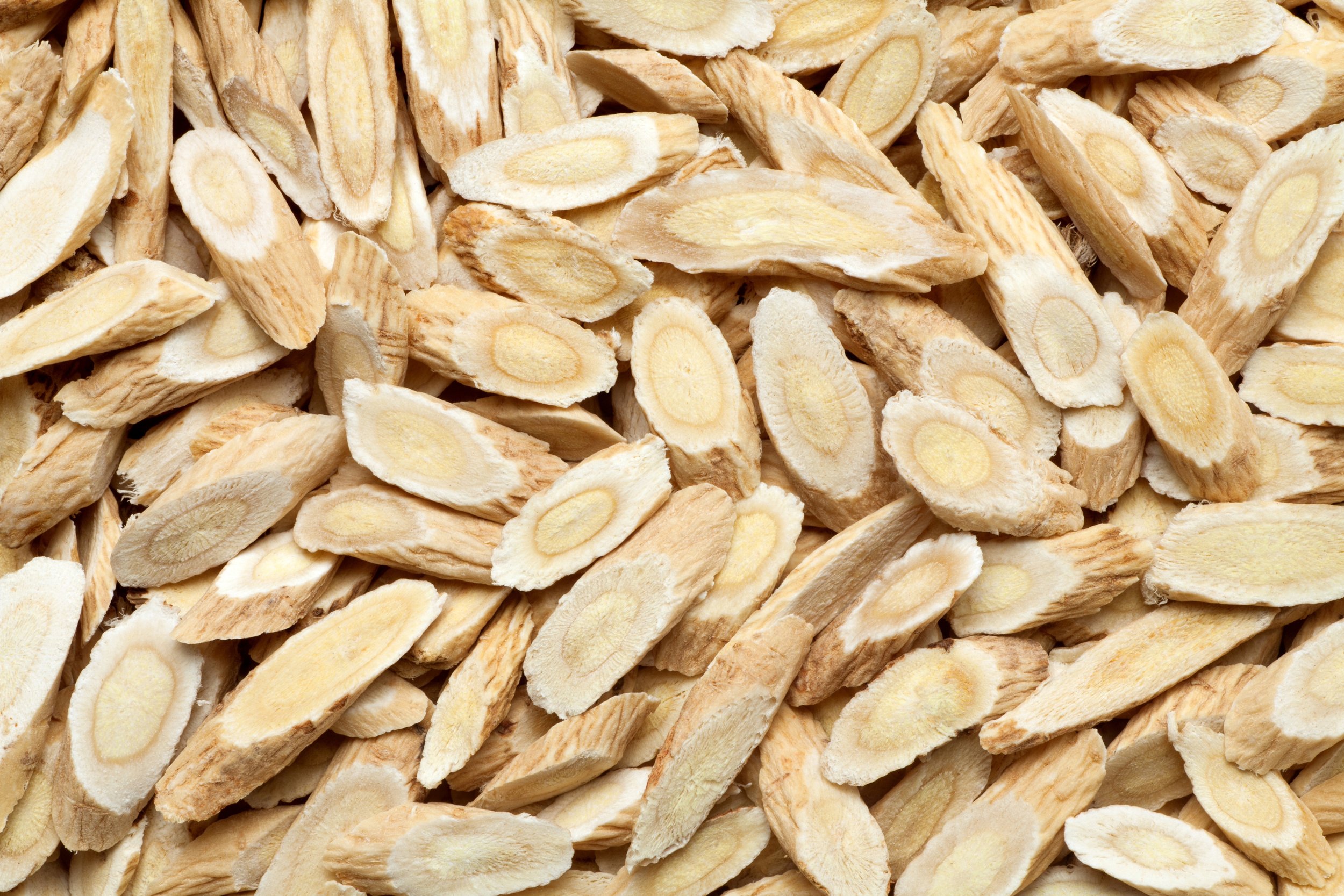 Astragalus membranosus root sliced.jpeg