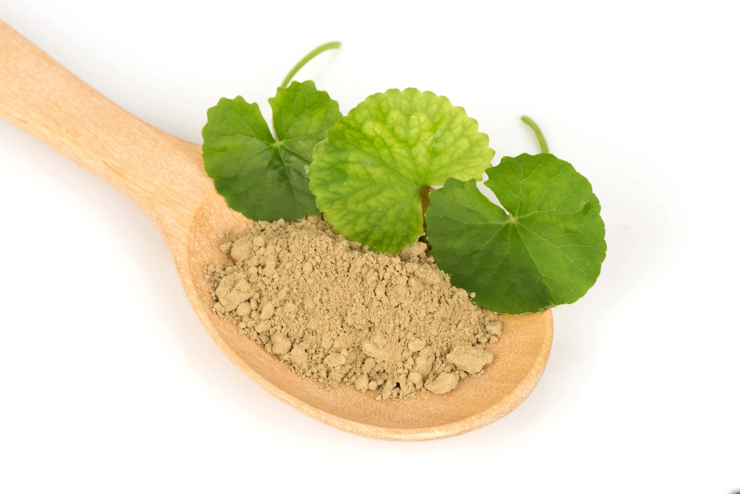 gotu kola powder.jpeg
