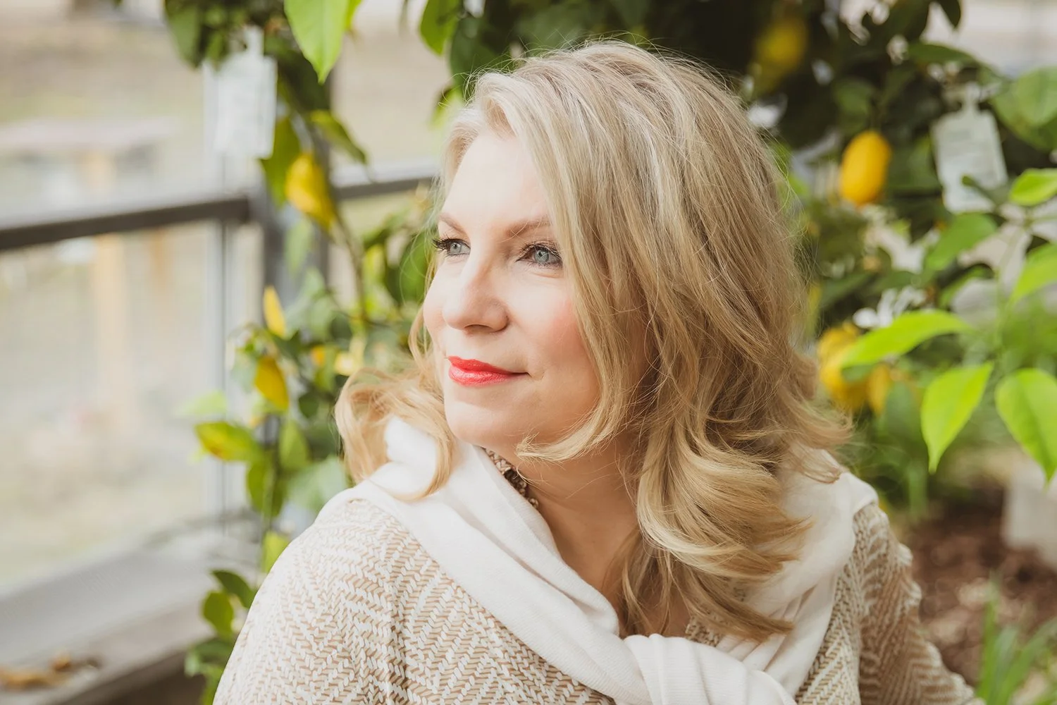 Siististi paketoitu kapeus