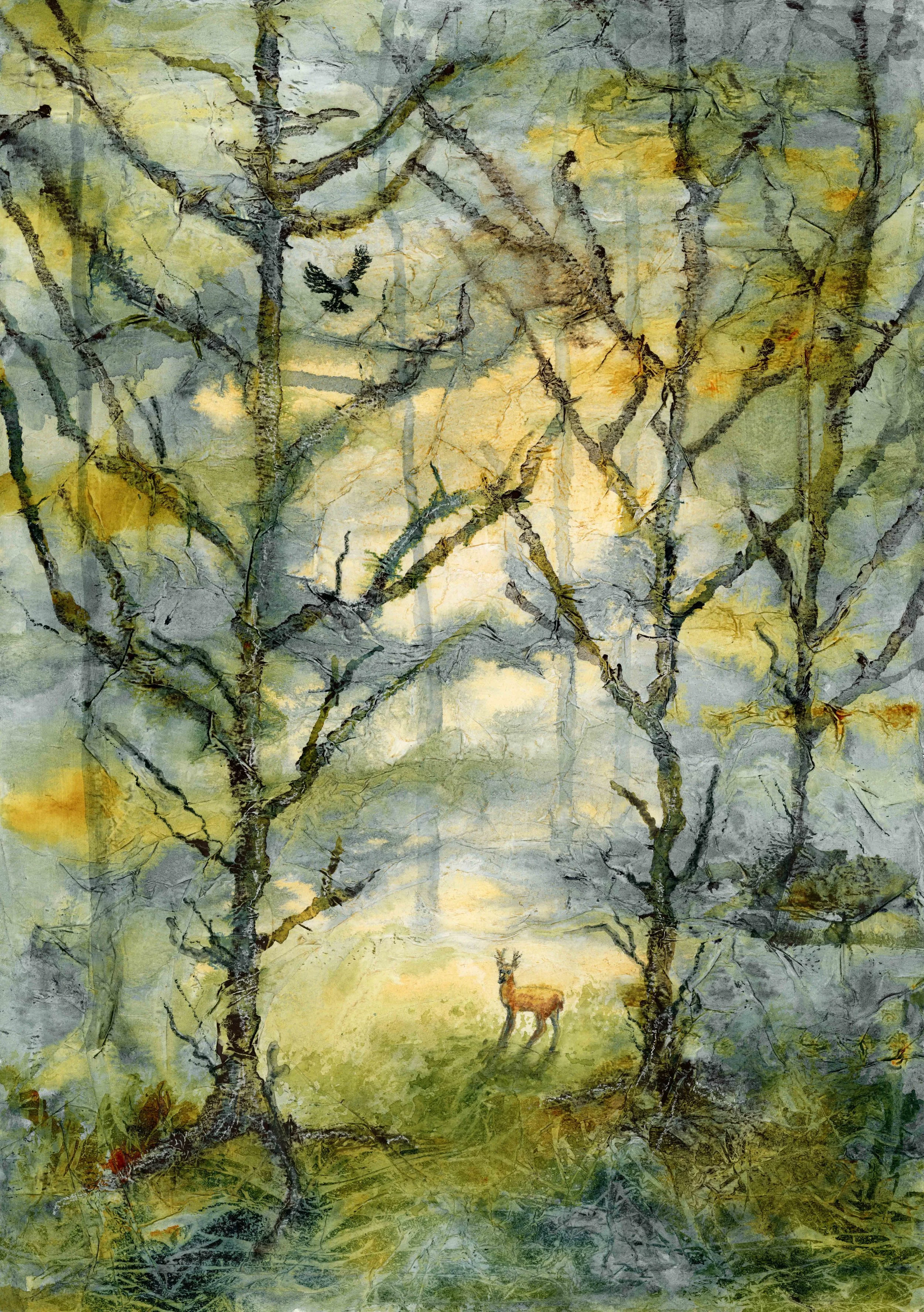 Spirit of the Forest