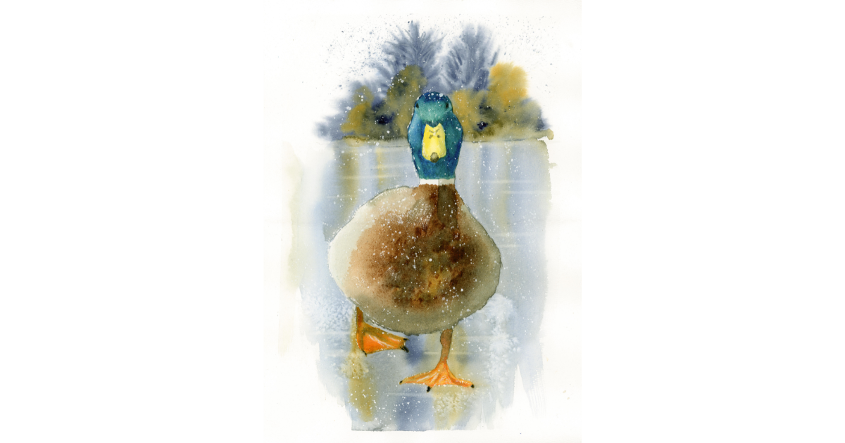 Duck on Ice – Premium Art Print