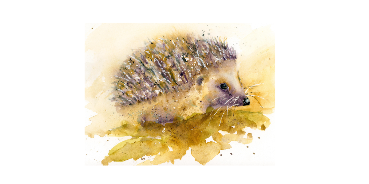 Garden Visitor – Fine Art Watercolour Print