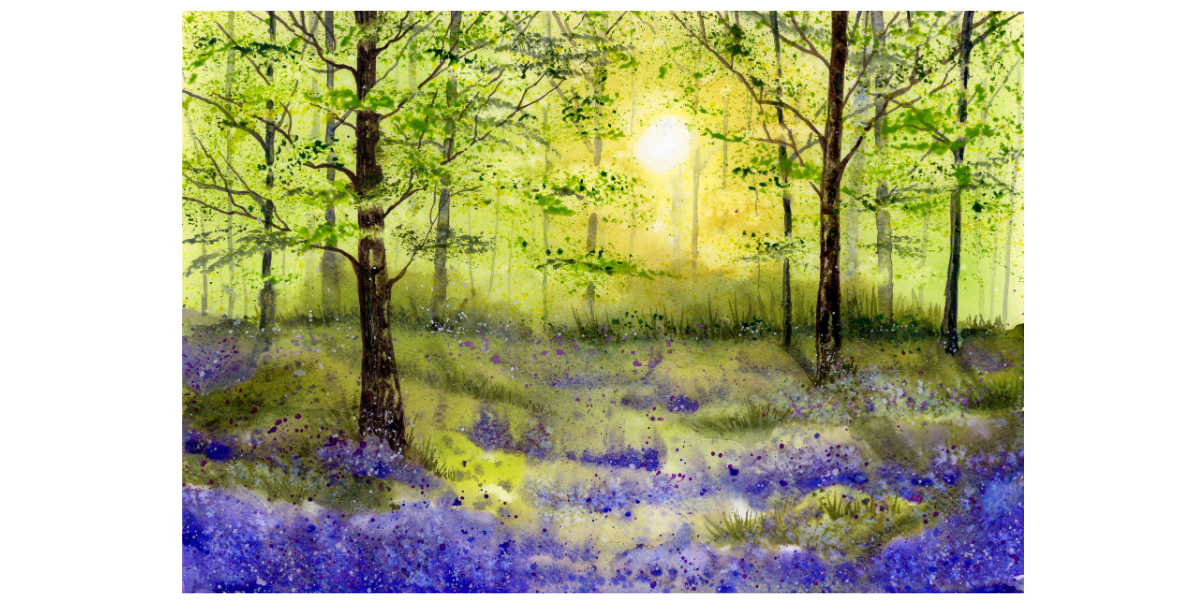 Bluebell Wood Print
