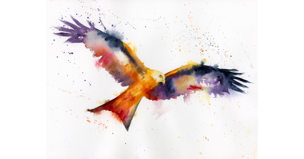 "Red Kite" - watercolour A4 Print