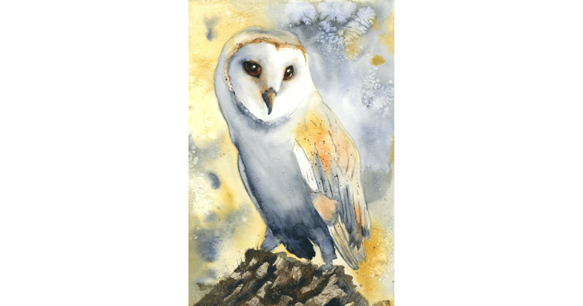 Barn Owl – Fine Art Watercolour Print