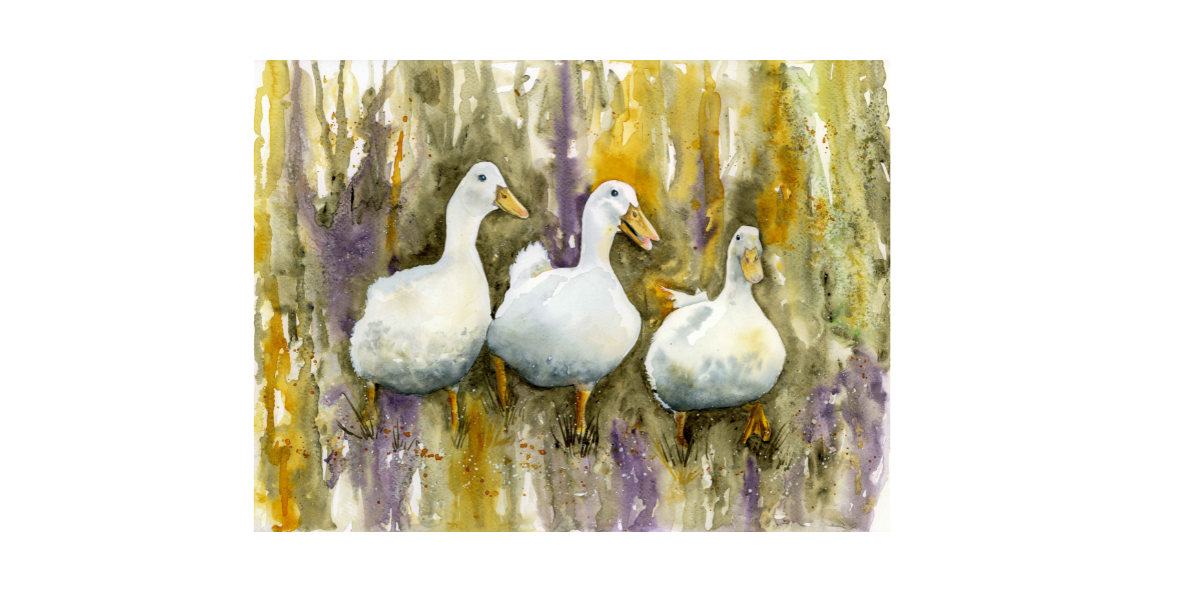 Three Ducks – Fine Art Watercolour Print