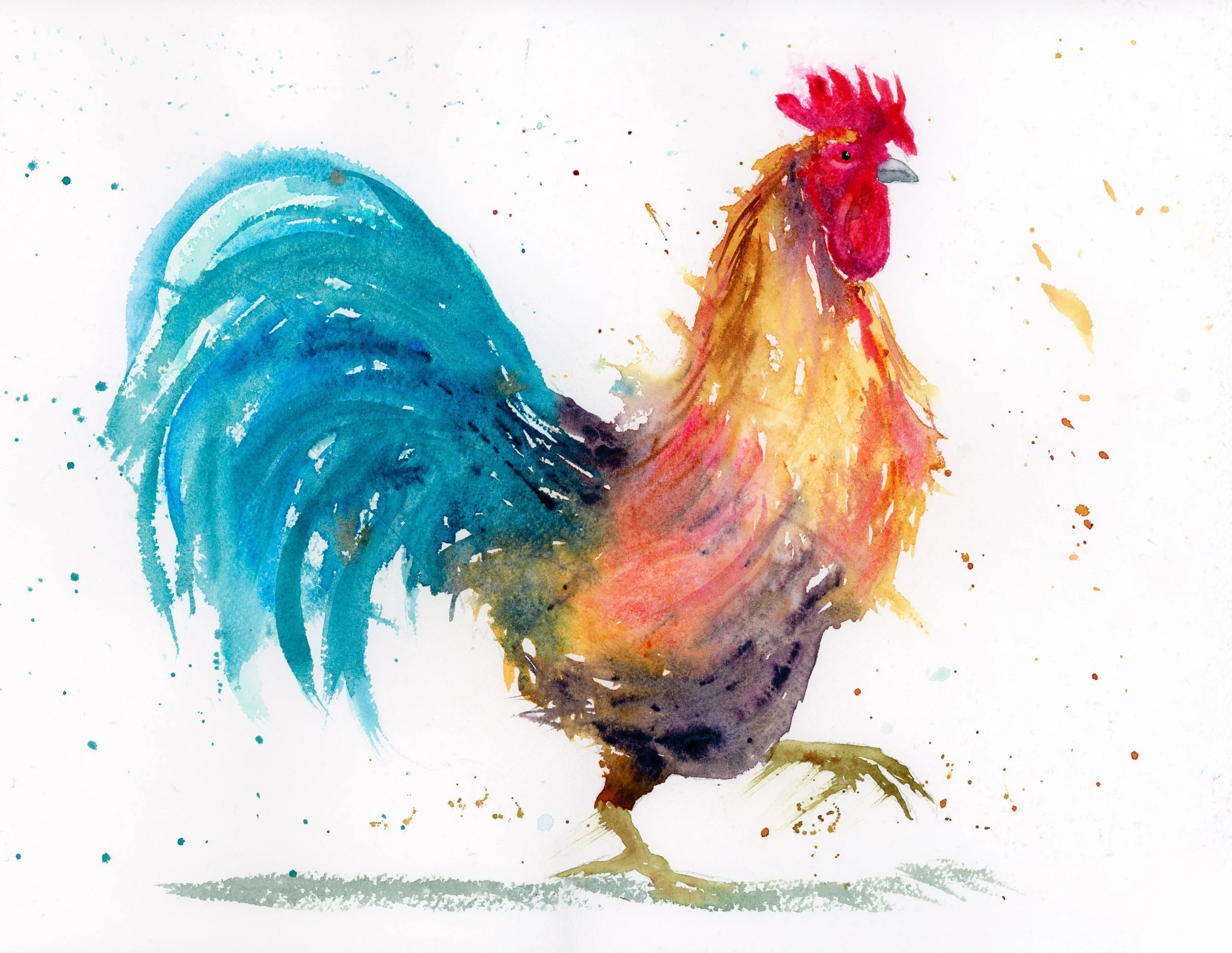 Watercolour Original "Strutting His Stuff"